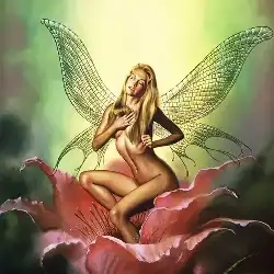 Flower Fairy